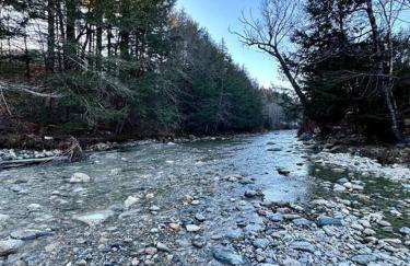 Brook Haven Retreat - Minutes to Mt Snow / Stratton, Pet Friendly! - Foto 16