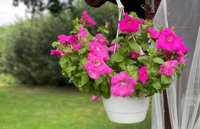 Chata w Ciszy - Foto 20