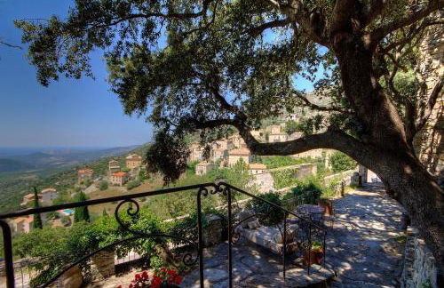 Le Campu Latinu - Foto 18