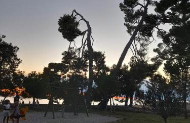 Apartmani Belvedere - Photo 30