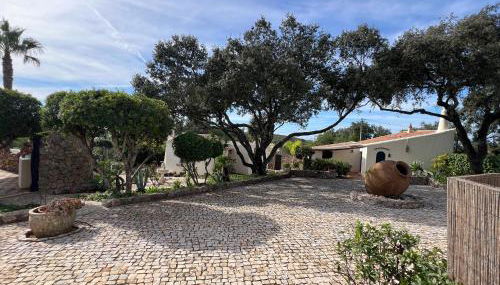 Monte Borboleta - Villas, Apartments - Foto 4, Garden, Garden view