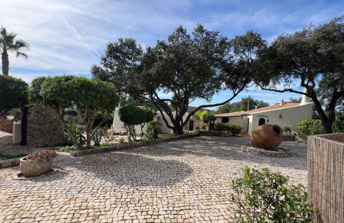 Monte Borboleta - Villas, Apartments - Foto 4