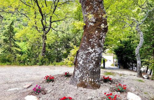 Casa Il Colle - Foto 2