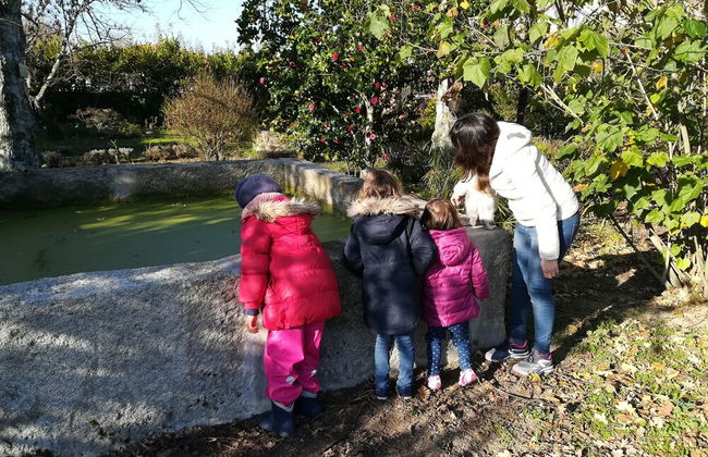 Casa das Palmeiras - Pedagogic Farm - Foto 117