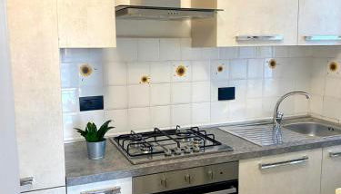 Lingotto relax, Inalpi Arena, Stadio, centro Torino, UniTo Economia e Politecnico - Foto 4, stove, dishwasher