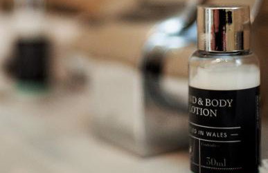 Mansion House Llansteffan - Foto 20