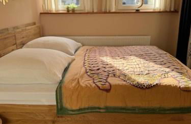 Residenz zu Caub - Pfalzgrafenstein Appartment - Foto 10