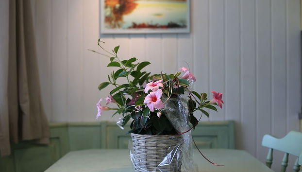 Servicio de comidas en la habitación