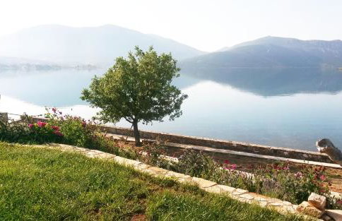 blueline guesthouse - Foto 9