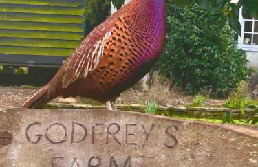 Bessie May Cottage - Foto 48