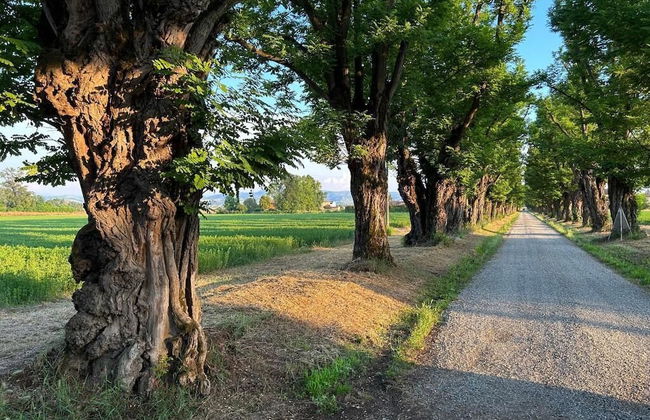 AGRITURISMO LE CORTI DELLA GUALDANA - Foto 36