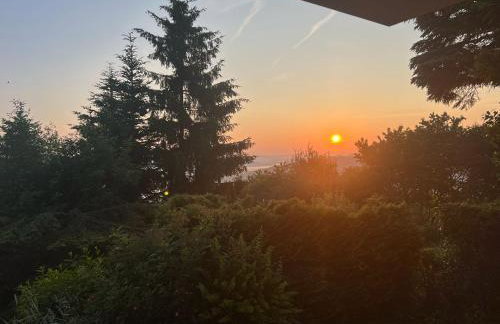 Domek z widokiem na jezioro Rożnowskie - Foto 3