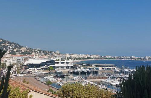 Place du Suquet - In the hart of old Cannes - 2 Min Walking distance from Palais de Festivals and Beaches - Photo 25