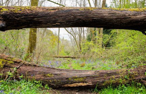 Little Hollows Glamping - Foto 72