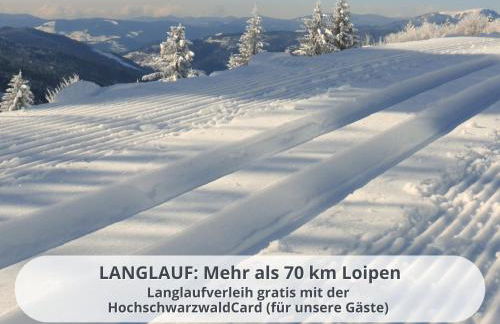 FeWo Schwarzwaldschick Feldberg I Direkt an der Piste I Whirlwanne I Tiefgarage I Skipass vergünstigt - Foto 63