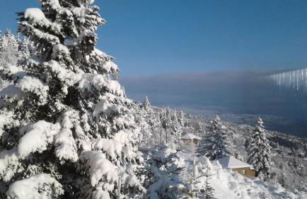 Elatos cozy Studio - Foto 32