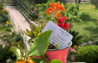 Piccolo Podere - Foto 19