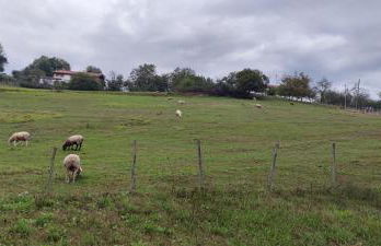 Intxaurti Etxea - Foto 44