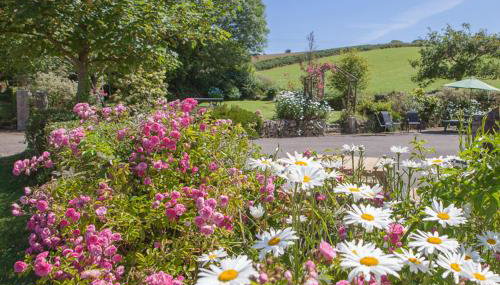 Lanjew Park - Foto 4, Garden view