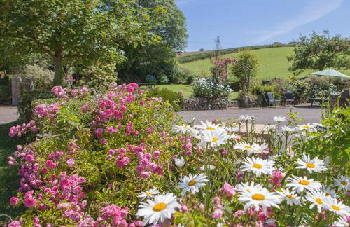 Lanjew Park - Foto 4