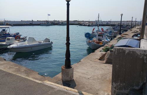 Dora's House - Photo 43