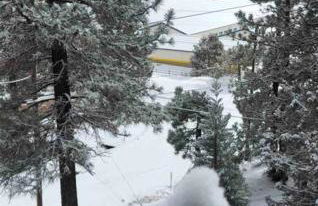 Paradise Cabin - Foto 26