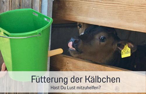 Bauernhof Finkel - Ferienwohnungen mit Balkon - Bergsicht - Traktor mitfahren - Tiere streicheln - entspannter Familienurlaub - zentrale Lage nahe Oberstdorf - Foto 60