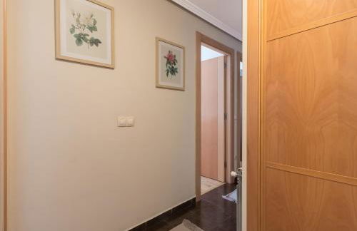 Apartamento Santiago Lopez -Wifi-plaza de Garaje - Foto 18