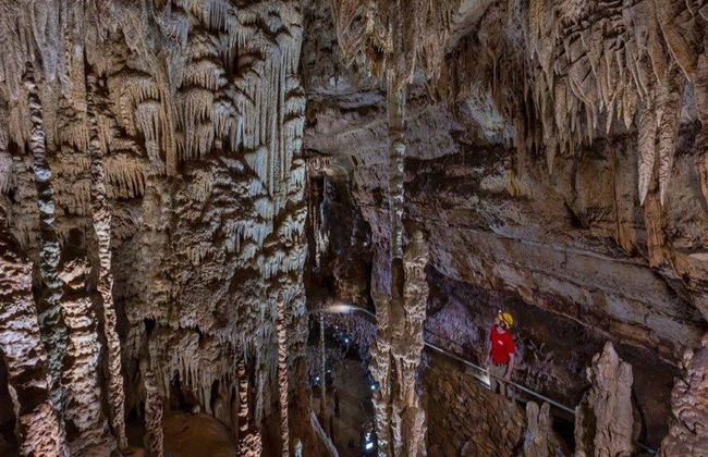 Natural Bridge Caverns Discovery Tour - Foto 6