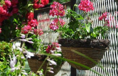 Zimski san - Foto 50