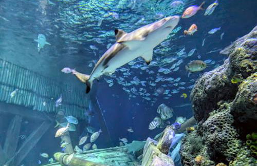 Al Castello Aparthotel - Camere e Appartamenti tra Verona e Lago di Garda - Foto 17