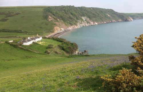 Drift Cottage - Fisherman's Cottage Brixham harbour - Photo 26