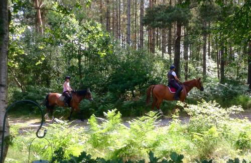 Forest View at Oakdene Forest Park - Leisure Passes Included! - Foto 21