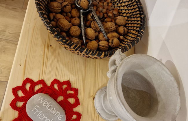 Vineyard cottage Vinska grajska kašča - Foto 16