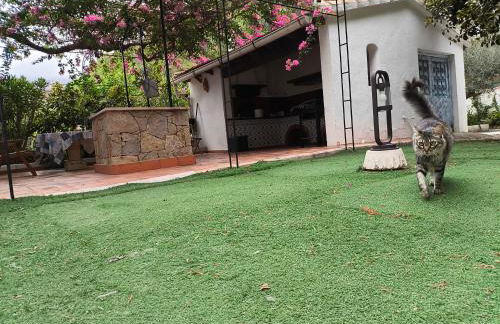 Estudio Las Rotas - Photo 18