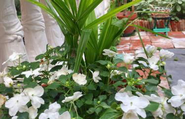 In Riva al Lago di Iseo Residenza LOFT - Foto 22