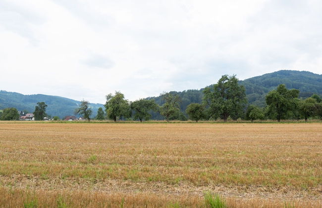 Modern Holiday Home in Pinsdorf With Garden - Photo 34