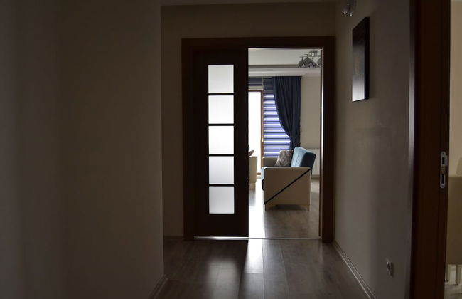 Canary Apart - Foto 11