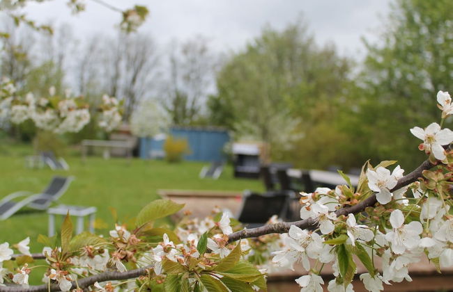 Wohnung in Wiek Nahe Juliusruh Strand - Foto 18