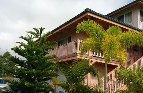 Nice Studio w/ AC near Kehena Beach and lava fields - Foto 13