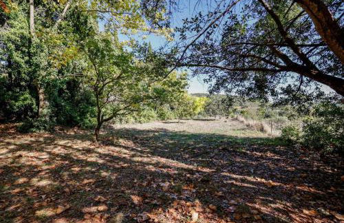 Chateau st-auriol - magnanerie - Photo 14