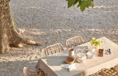 Mas le petit Paradou - Foto 4