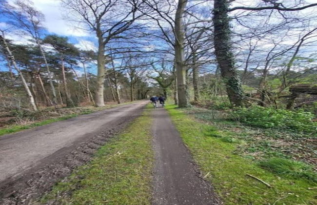 Stylish Stay in Vorden Woods - Foto 36