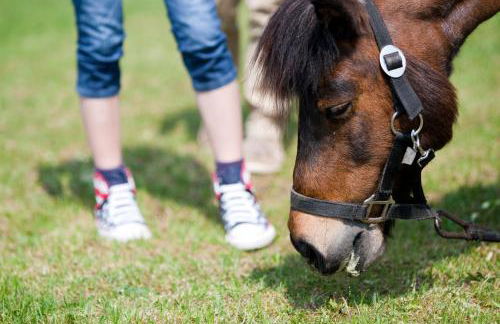 BEECH Resort Fleesensee - Foto 56