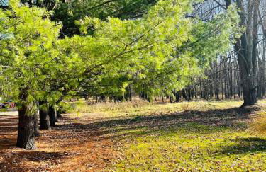 Winifreds Hideaway - Photo 16