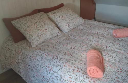 Gîte de rural de 15 personnes, bain nordique, rivière et nature - Foto 11