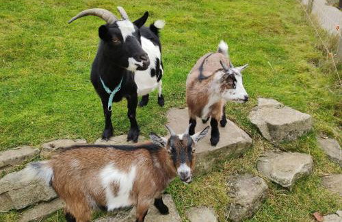 Biobetrieb Lippenhof - Photo 15