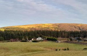 The Boathouse - Foto 18