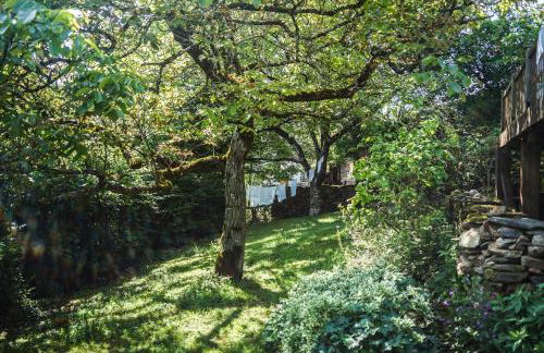 Le Papillon Bleu - Foto 15