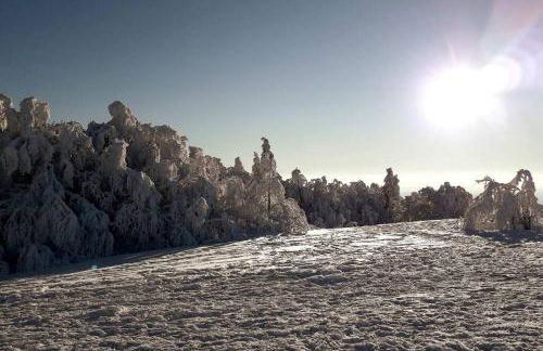 Au Repos du Fayé - Foto 18
